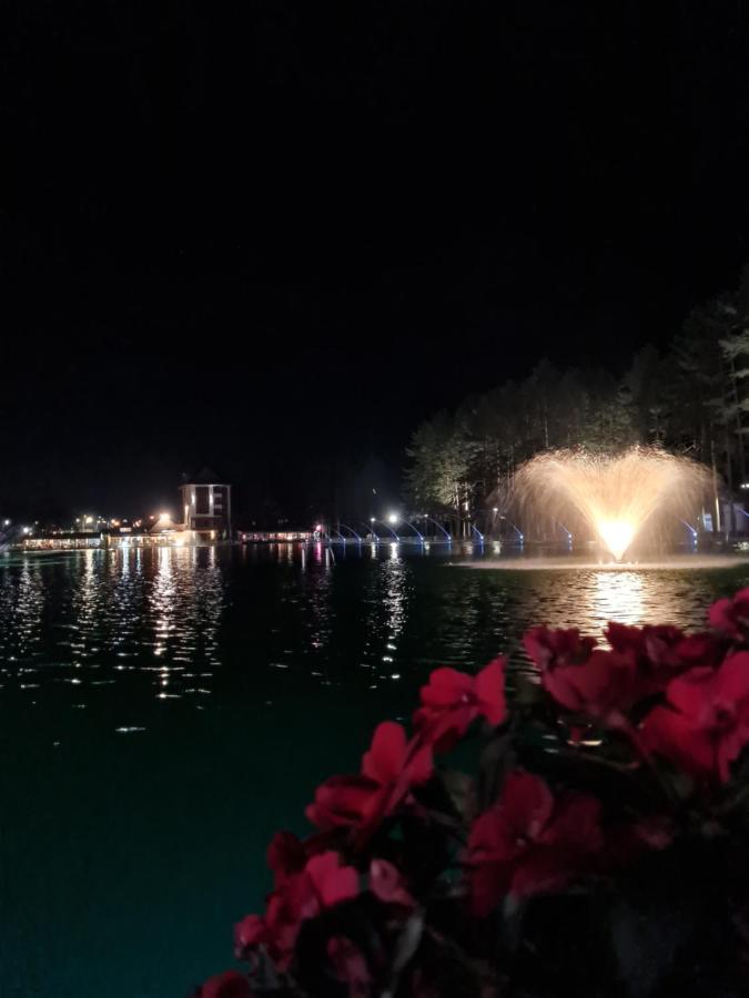 Apartman Stefanovic Vila Darija Lux ซลาตีบอร์ ภายนอก รูปภาพ